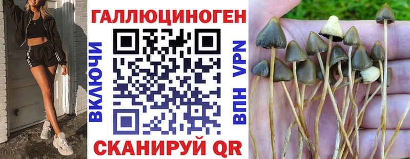 Псилоцибиновые грибы Cubensis  Северская 